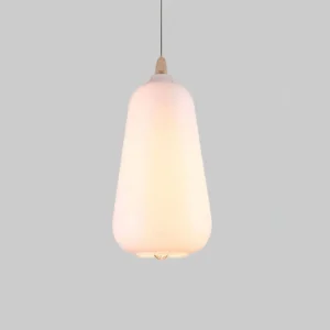 LumiLamp Stijlvolle Hanglamp in Glas