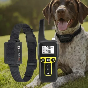 Collare Addestramento Cane Telecomando Sistema Controllo